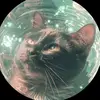 Daelee - @daelee_2 - TikTok