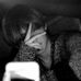 Dae Woo - Facebook