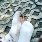 daeun kang - @daeun.ruan - Instagram