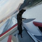 Daeun Kang - @chocohaim_mom - Instagram