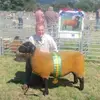 Dafydd Roberts - @dafydd.roberts7 - TikTok