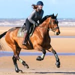 Mabli Dafydd Roberts - @mabli_dafydd_roberts - Instagram