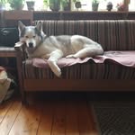 Dag Andersson - @dag.andersson.56 - Instagram