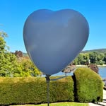 Dagmar Weber - @d13701 - Instagram
