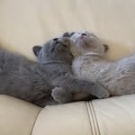 Dagmar Weber - @dagmar.weber.1276 - Instagram