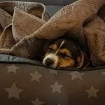 Dagmar Weber - @dagmar7665 - Instagram