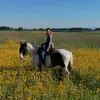 dagmarweber687 - @dagmarweber687 - TikTok