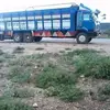 dahir ali - @daahircalikooko48 - TikTok