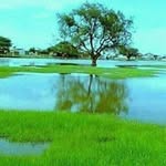 Dahir Ali - @dahir.ali.39545 - Instagram