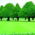 Dahir Ali - Facebook