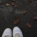 Đại Hoàng - @daimnsd - Instagram