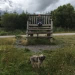 Dai Lewis - @dhl65 - Instagram