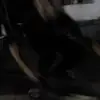 Dai Phung785 - @daiphung785 - TikTok