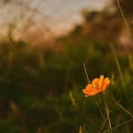 Đại PhùNg - @_dphung3838 - Instagram