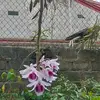 daiphung1202 - @daiphung1202 - TikTok