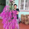 Lê Đại Thắng56789 - @dai_thang56789 - TikTok