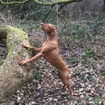 Dai Thomas - @dai.thomas.3576 - Instagram