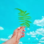 Đại Vương - @daivuong_09 - Instagram