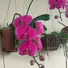 Dai Vuong - @dai.vuong35 - TikTok