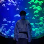 Will Qin - @d.aiz.hen - Instagram