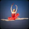 daiana berenice navarrete - @daynavarrete - TikTok
