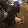 Daija Mack - @daijamack - TikTok