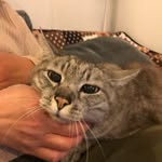 Daisuke_Matsuoka - @daisuke_matsuoka_ - Instagram