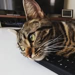 Daisuke Matsuoka - @avances.mee - Instagram