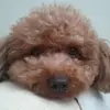 Daisuke Matsuoka - @2159387101 - TikTok