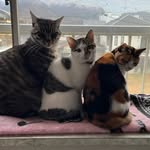 Daisuke Matsuoka - @dsk5262 - Instagram
