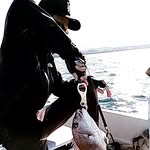 Daisuke Sato - @daisuke.s713 - Instagram