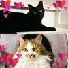 Daisuke Sato - @daisuke.sato6 - TikTok