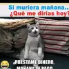 Daisy Abarca - @daisy2120 - TikTok