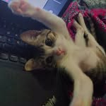 Daisy Padilla Abarca - @daisy.padilla1 - Instagram