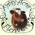 Amber Clark Langford - @daisyacresflowers - Instagram