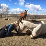 Daisy Acres - @daisy_acres_alberta - Instagram