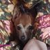 Daisy Adams - Facebook