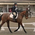 Daisy adamson - @draequestrian - Instagram