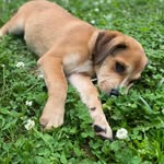 Daisy - @daisy.adamson - Instagram