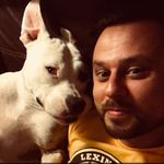 Daisy Adkins - @daisydogsbrain - Instagram