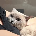 Daisy Ahn - @hahnlve - Instagram