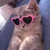 Daisyalanis16 - @daisyalanis16 - TikTok