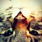 Albert & Daisy - @albert_daisy - Instagram