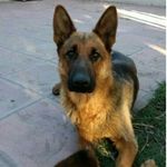 Daisy Obejero Aleman - @deisy_obejero - Instagram