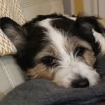 Daisy Alexander - @dmalexander2009 - Instagram