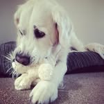 Daisy Alexander - @daisyalexander1 - Instagram