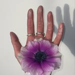 Daisy Alexander - @daisyalexart - Instagram