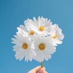 Daisy Ali - Facebook