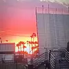 daisyalonzo453 - @daisyalonzo453 - TikTok