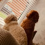 Daisy & Amber - @_daisy_amber_ - Instagram